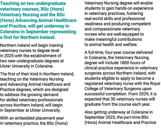 Teaching on two undergraduate veterinary courses, BSc (Hons) Veterinary Nursing and the BSc (Hons) Advancing Animal H...