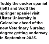 Teddy the cocker spaniel (left) and Scott the springer spaniel visit Ulster University in Coleraine ahead of the new ...