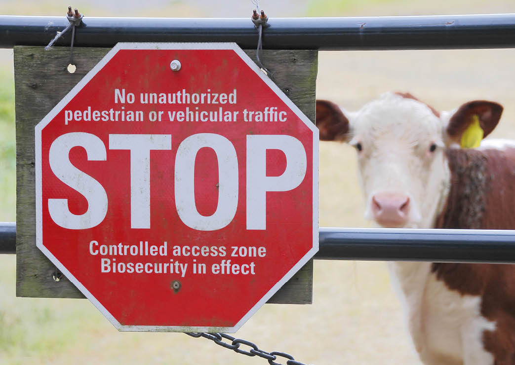 A sign is posted in an attempt to keep germs and disease infecting farm animals/Bio Security or Biosecurity and Farm Animals/A sign is posted to keep germs and disease infecting farm animals. 