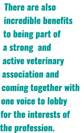 There are also incredible benefits to being part of a strong and active veterinary association and coming together wi...