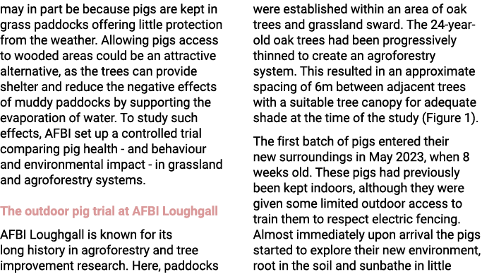 may in part be because pigs are kept in grass paddocks offering little protection from the weather. Allowing pigs acc...