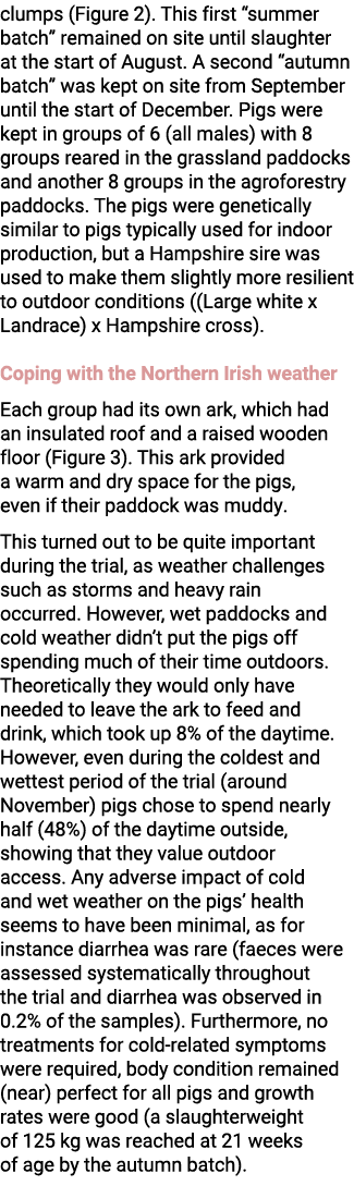 clumps (Figure 2). This first “summer batch” remained on site until slaughter at the start of August. A second “autum...