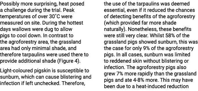 Possibly more surprising, heat posed a challenge during the trial. Peak temperatures of over 30˚C were measured on si...