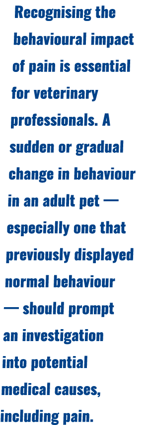 Recognising the behavioural impact of pain is essential for veterinary professionals. A sudden or gradual change in b...