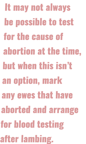 It may not always be possible to test for the cause of abortion at the time, but when this isn’t an option, mark any ...