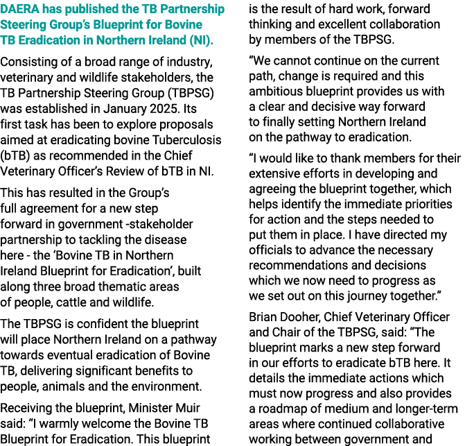 DAERA has published the TB Partnership Steering Group’s Blueprint for Bovine TB Eradication in Northern Ireland (NI)....