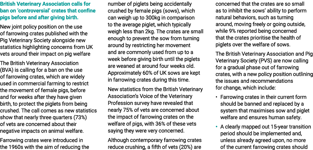 British Veterinary Association calls for ban on ‘controversial’ crates that confine pigs before and after giving birt...