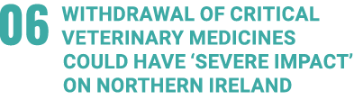 06 Withdrawal of critical veterinary medicines could have ‘severe impact’ on NORTHERN IRELAND
