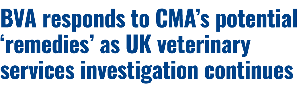 BVA responds to CMA’s potential ‘remedies’ as UK veterinary services investigation continues 