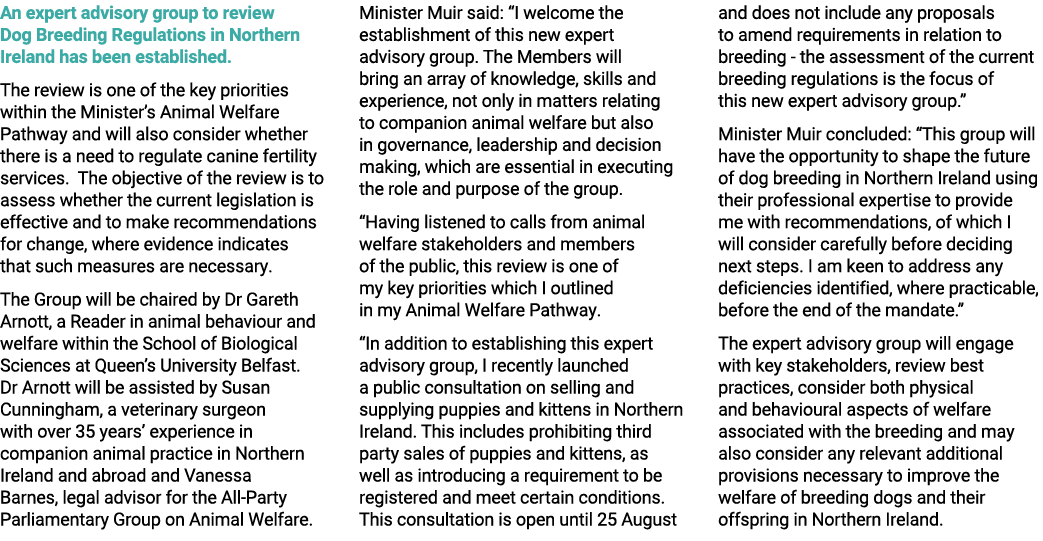 An expert advisory group to review Dog Breeding Regulations in Northern Ireland has been established. The review is o...