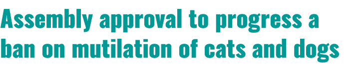 Assembly approval to progress a ban on mutilation of cats and dogs