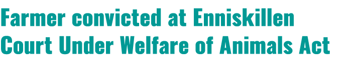 Farmer convicted at Enniskillen Court Under Welfare of Animals Act