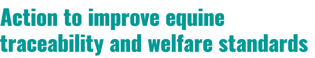 Action to improve equine traceability and welfare standards