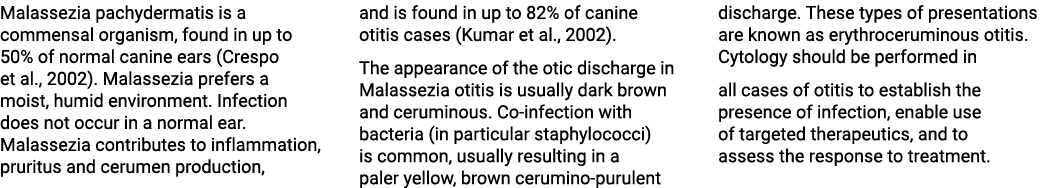 Malassezia pachydermatis is a commensal organism, found in up to 50% of normal canine ears (Crespo et al., 2002). Mal...