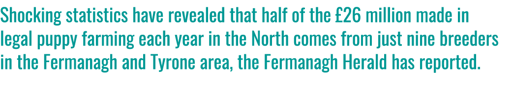 Shocking statistics have revealed that half of the £26 million made in legal puppy farming each year in the North com...