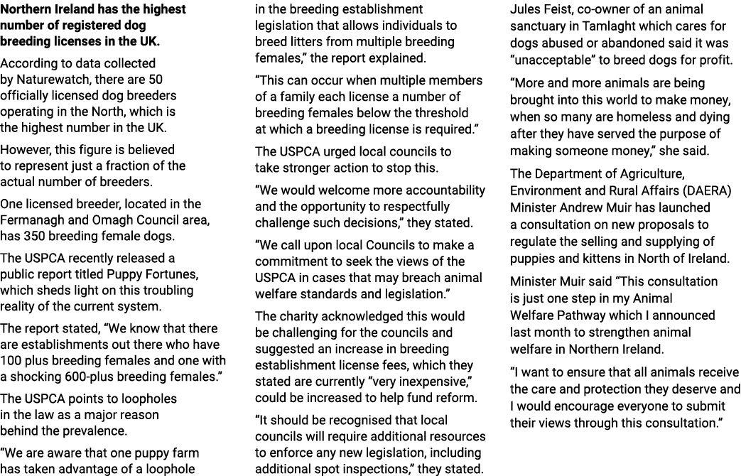 Northern Ireland has the highest number of registered dog breeding licenses in the UK. According to data collected by...