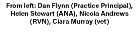 From left: Dan Flynn (Practice Principal), Helen Stewart (ANA), Nicola Andrews (RVN), Ciara Murray (vet)