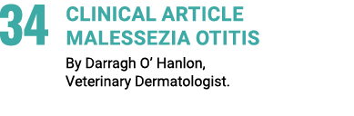 34 Clinical Article MALESSEZIA OTITIS By Darragh O’ Hanlon, Veterinary Dermatologist.