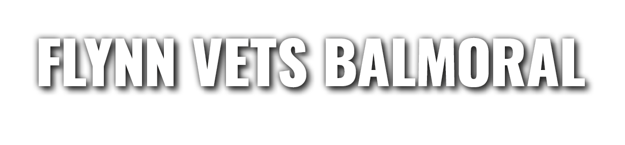 FLYNN VETS BALMORAL