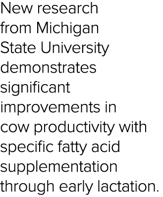 New research from Michigan State University demonstrates significant improvements in cow productivity with specific f   