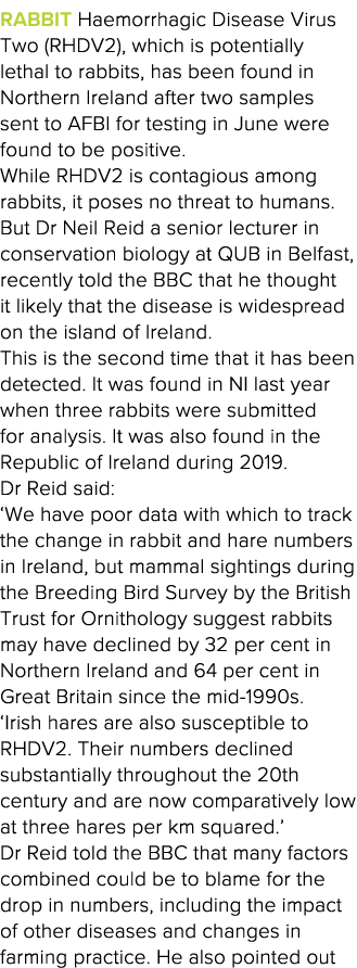 Rabbit Haemorrhagic Disease Virus Two (RHDV2), which is potentially lethal to rabbits, has been found in Northern Ire   