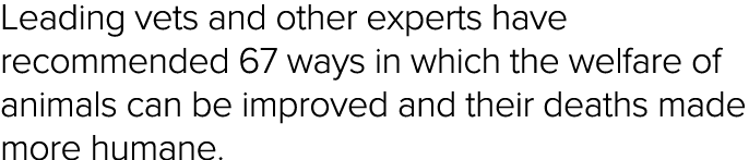 Leading vets and other experts have recommended 67 ways in which the welfare of animals can be improved and their dea   