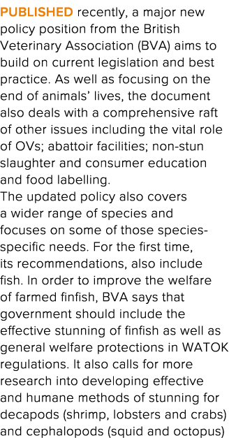 Published recently, a major new policy position from the British Veterinary Association (BVA) aims to build on curren   