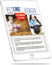 mockup tablet isolated on white