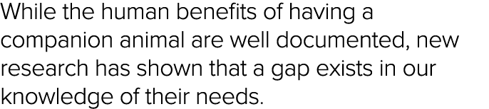 While the human benefits of having a companion animal are well documented, new research has shown that a gap exists i   