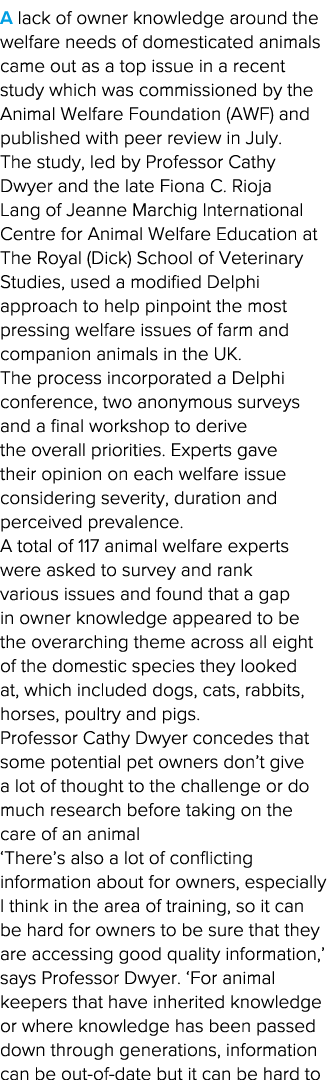 A lack of owner knowledge around the welfare needs of domesticated animals came out as a top issue in a recent study    