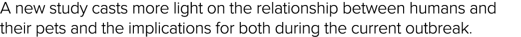 A new study casts more light on the relationship between humans and their pets and the implications for both during t   