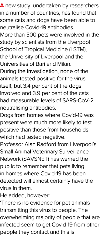 A new study, undertaken by researchers in a number of countries, has found that some cats and dogs have been able to    
