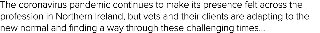 The coronavirus pandemic continues to make its presence felt across the profession in Northern Ireland, but vets and    
