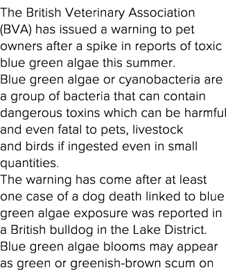 The British Veterinary Association (BVA) has issued a warning to pet owners after a spike in reports of toxic blue gr   