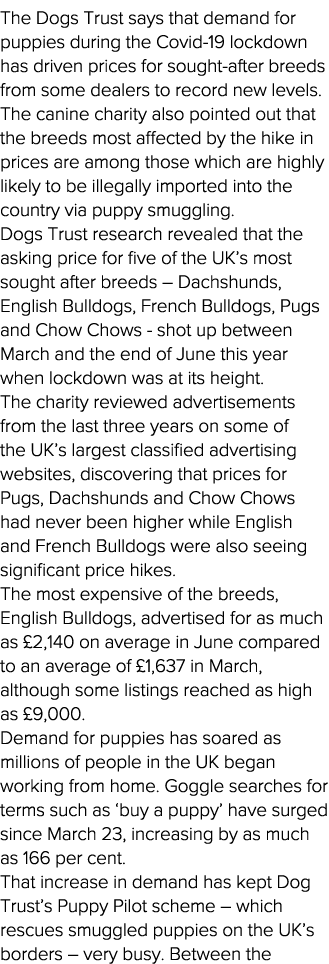The Dogs Trust says that demand for puppies during the Covid-19 lockdown has driven prices for sought-after breeds fr   