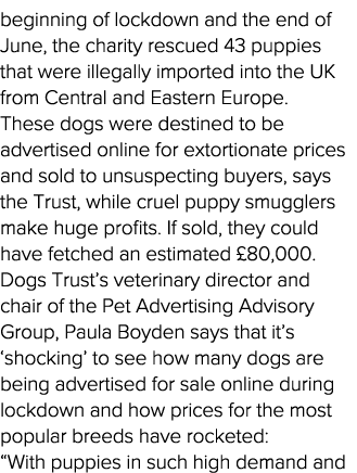 beginning of lockdown and the end of June, the charity rescued 43 puppies that were illegally imported into the UK fr   