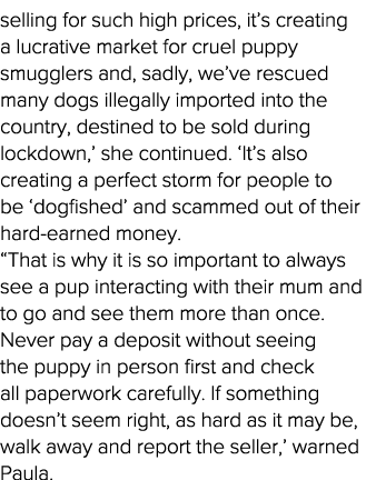 selling for such high prices, it s creating a lucrative market for cruel puppy smugglers and, sadly, we ve rescued ma   
