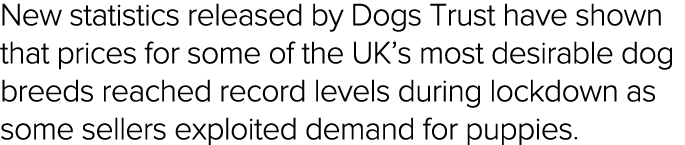 New statistics released by Dogs Trust have shown that prices for some of the UK s most desirable dog breeds reached r   