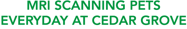 MRI scanning pets everyday at Cedar Grove