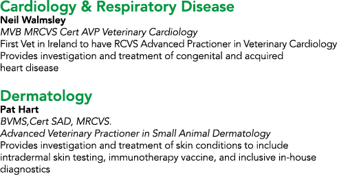 Cardiology & Respiratory Disease Neil Walmsley MVB MRCVS Cert AVP Veterinary Cardiology First Vet in Ireland to have    