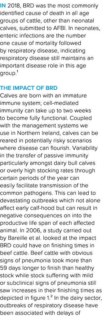 In 2018, BRD was the most commonly identi ed cause of death in all age groups of cattle, other than neonatal calves,    