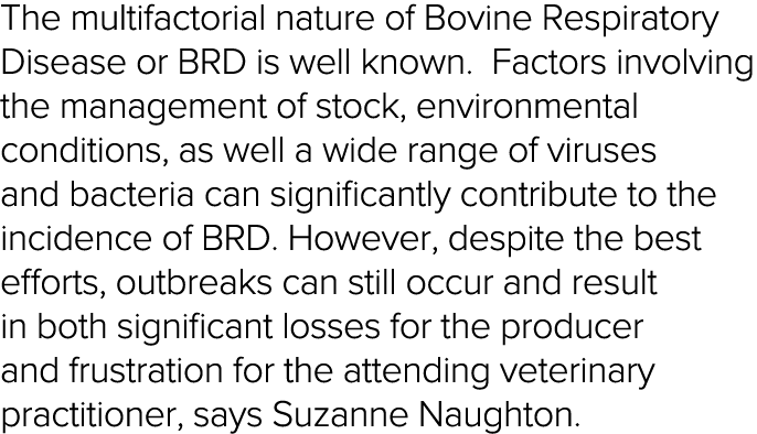 The multifactorial nature of Bovine Respiratory Disease or BRD is well known  Factors involving the management of sto   