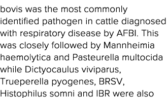 bovis was the most commonly identified pathogen in cattle diagnosed with respiratory disease by AFBI  This was closel   