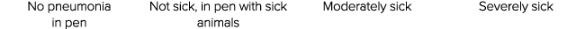 No pneumonia in pen Not sick, in pen with sick animals Moderately sick Severely sick 