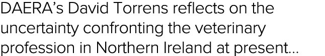 DAERA s David Torrens reflects on the uncertainty confronting the veterinary profession in Northern Ireland at present  