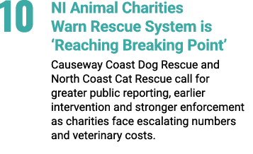 10 NI Animal Charities Warn Rescue System is ‘Reaching Breaking Point’ Causeway Coast Dog Rescue and North Coast Cat ...