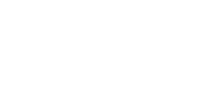 AVSPNI 2026