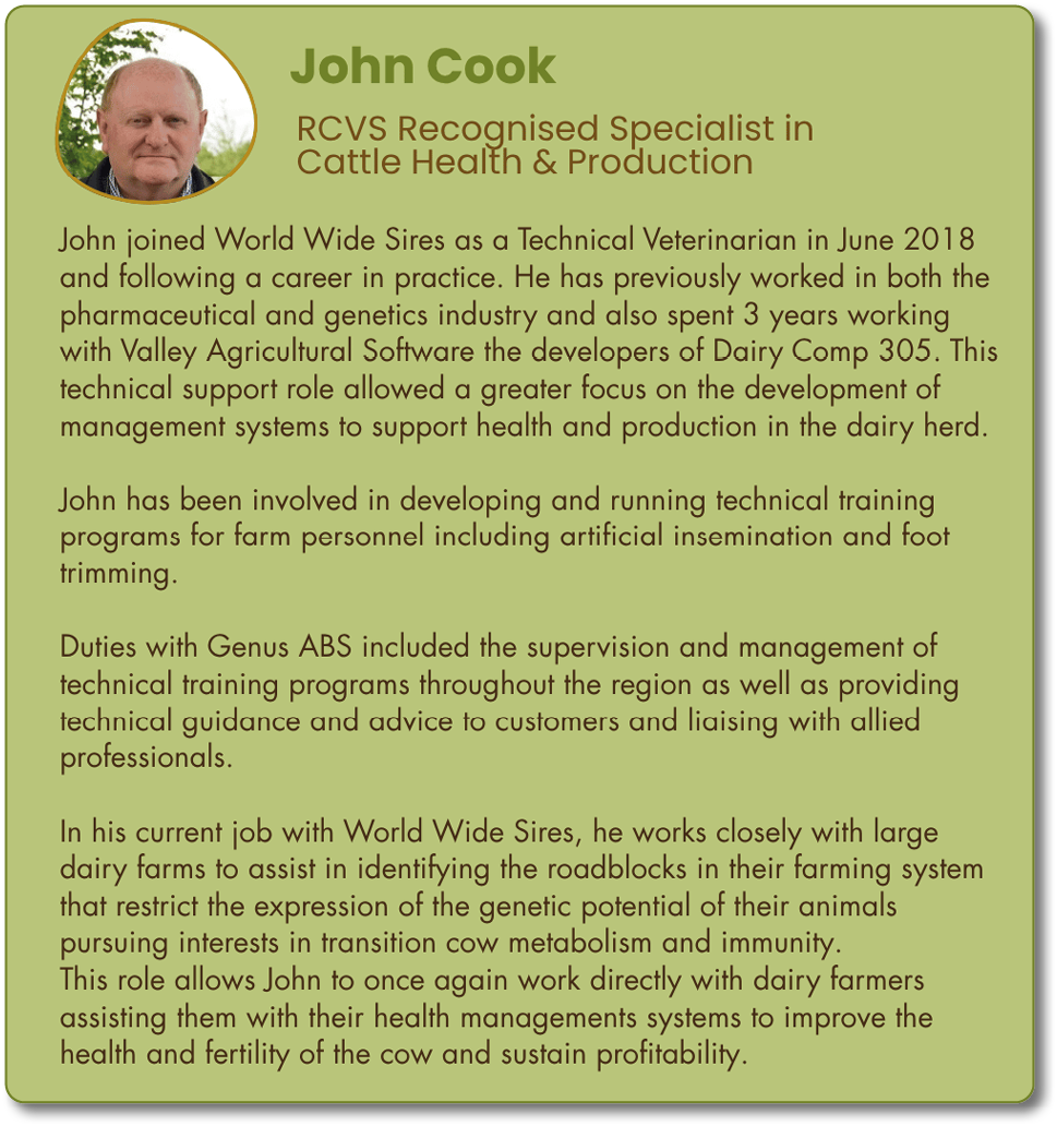 A conference flyer displays biographies of two guest speakers, John Cook and Jonathan Statham, highlighting their expertise in cattle health, production, nutrition, and veterinary practice, with a green and brown color scheme and text emphasizing transition, nutrition, and herd efficiency. Description generated by AI