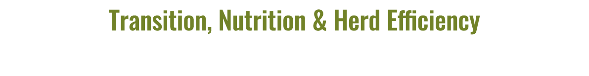 Transition, Nutrition & Herd Efficiency