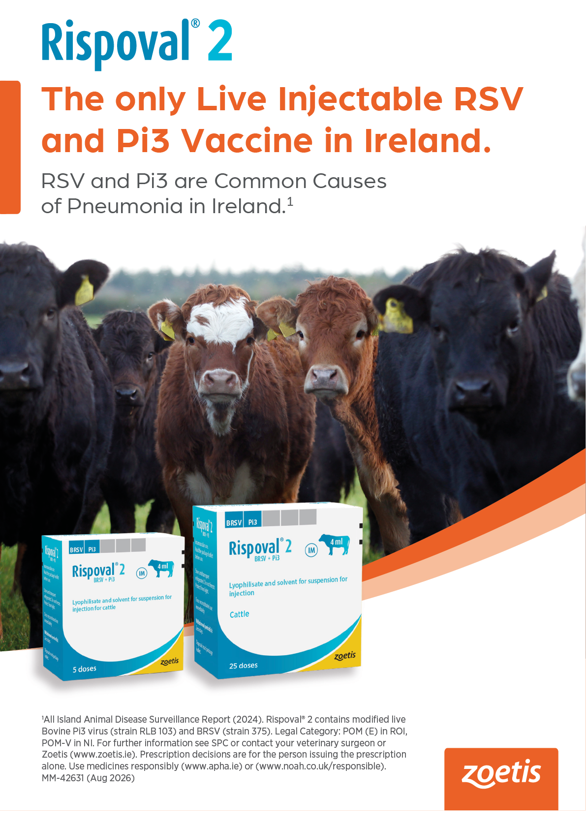 A group of cows stands in a field behind two boxes of Rispoval 2 vaccine, which is promoted as the only live injectable RSV and Pi3 vaccine in Ireland for preventing pneumonia. Description generated by AI